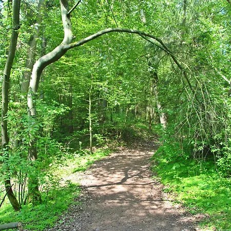 Morska Osada * Plesna (Koszalin)