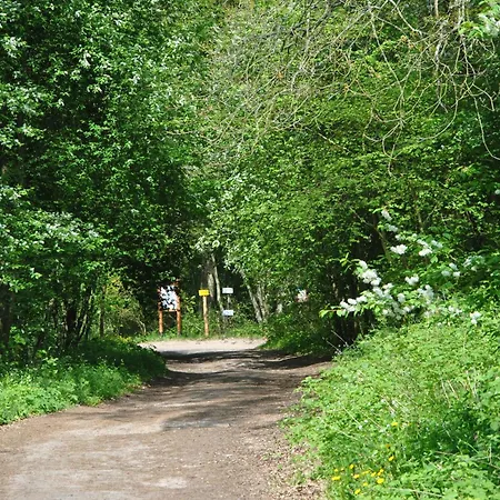 Morska Osada Pleśna