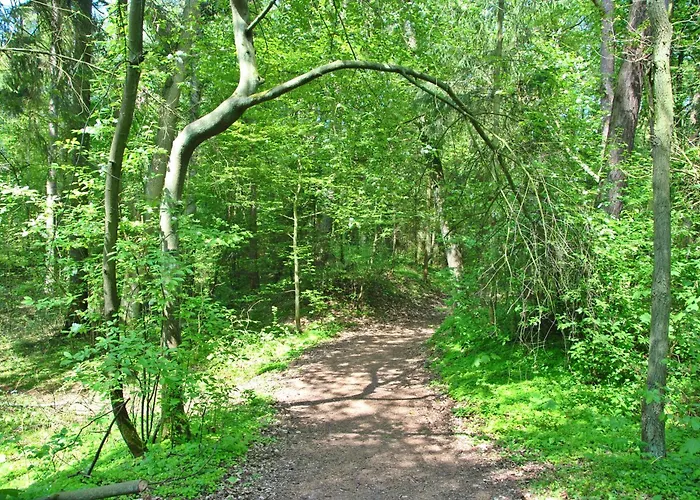 Morska Osada * Pleśna