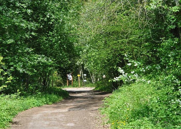 Morska Osada Pleśna